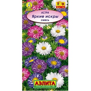 Яркие искры астра (а)