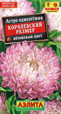 Королевский размер Яблоневый цвет астра (а)