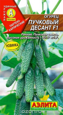 Пучковый десант F1 огурец (а)