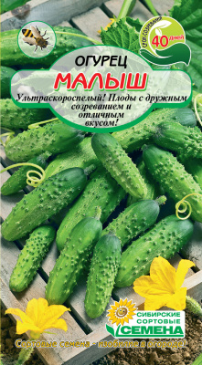 Малыш