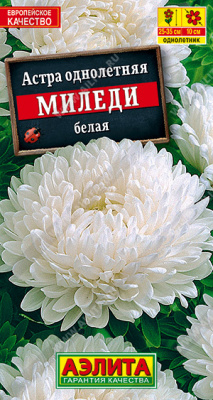 Миледи белая астра 25см 0,2г (а)