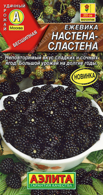 Ежевика Настена-сластена 15шт (а)