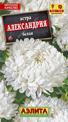 Александрия белая астра 70см 0,1гр (а)