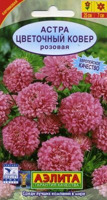 Цветочный ковер розовая астра (а)