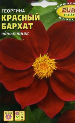 Красный бархат георгина 60см 0,1гр (а)