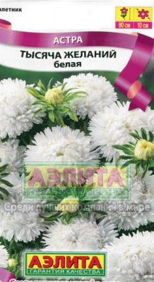 Тысяча желаний белая астра 80см, 0,3гр (а)