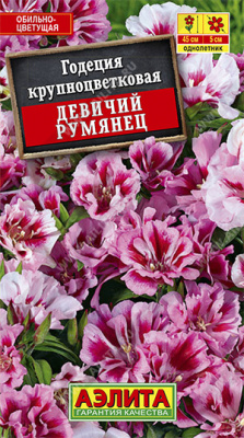Девичий румянец крупноцветковая годеция (а)