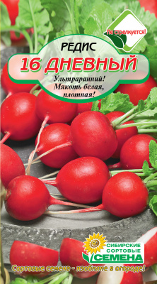 16дневный
