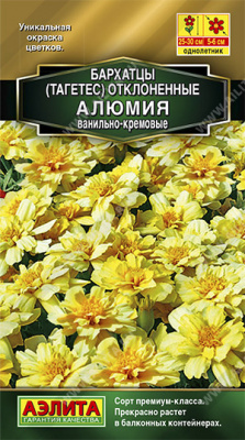 Алюмия ванильно-кремовые бархатцы 10шт (а)