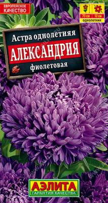 Александрия фиолетовая астра 70см, 0,1гр (а)