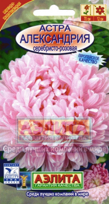 Александрия серебристо-розовая астра70см 0,1гр (а)