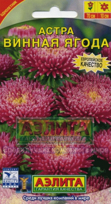 Винная ягода астра 70см 0,3г (а)