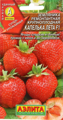 Капелька лета 1