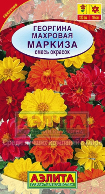 Маркиза, смесь георгина 50см 10шт (а)