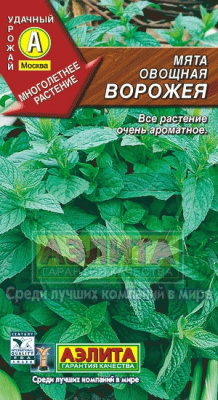 Мята Ворожея овощная(а)