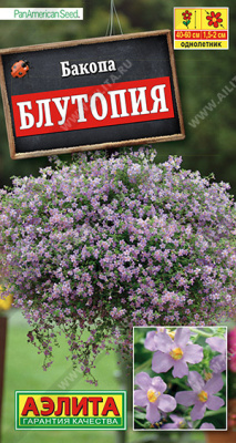 Бакопа Блутопия (а)