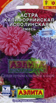 Калифорнийская исполинская астра 80см 0,3гр (а)