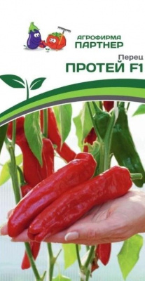 Протей