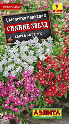 Смолевка Сияние звезд, смесь окрасок (а)