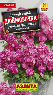 Дюймовочка, розовый бриллиант карликовый левкой (а)
