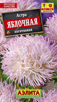Яблочная астра (а)