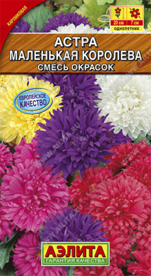 Маленькая королева астра 20см, 0,3гр (а)