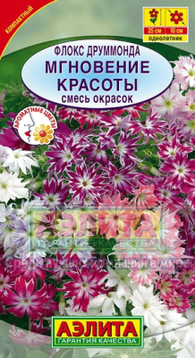 Мгновение красоты, смесь флокс (а)
