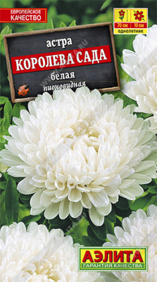 Королева сада белая астра 0,2гр (а)