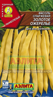 Золотое Ожерелье фасоль 5г (а)