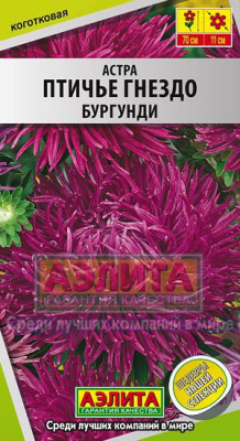Птичье гнездо бургунди астра (а)