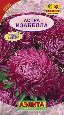 Изабелла астра (а)