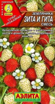 Зита-и-Гита 1 (а)