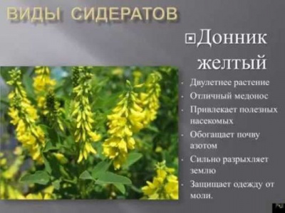 Донник Желтый 0,5кг (1упак/50шт)(ГринДир)