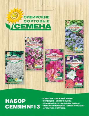 13 Набор 