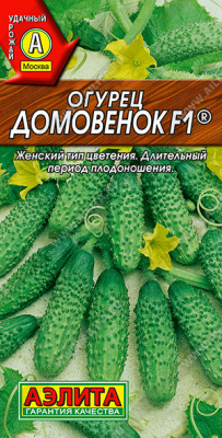 Домовенок 1