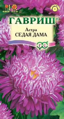 Седая дама астра 60-65см 0,3г (г)