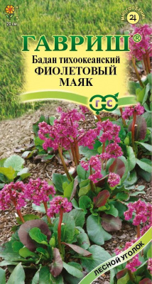 Бадан Фиолетовый маяк 0,01гр (г)
