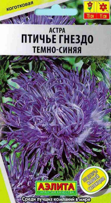 Птичье гнездо темно-синяя астра (а)