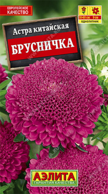 Брусничка китайская астра 60см 0,3г (а)