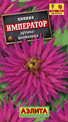 Император кактусовидная циния 75см 0,3гр (а)