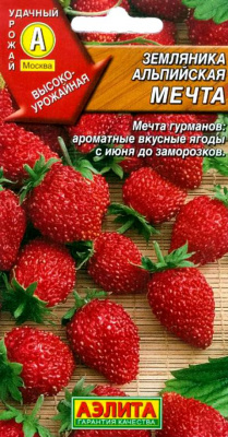 Альпийская мечта земляника (а)