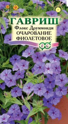 Очарование фиолетовое, друммонда флокс 0,05 гр (г)