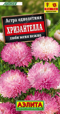 Хризантелла Люби меня нежно (а)