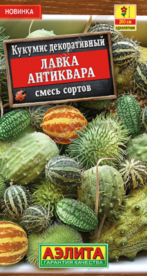 Кукумис Лавка антиквара, смесь сортов декоративный 10шт (а)