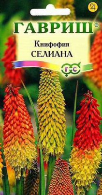 Книфофия Селиана ягодная мн. 120см 0,1гр (г)