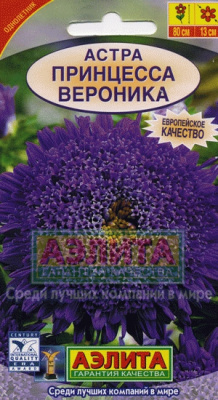Принцесса Вероника 80см 0,3г (а)