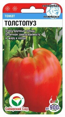 Толстопуз томат 20шт (сс)