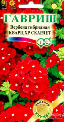 Кварц ХР Скарлет, гибридная вербена 4шт (г)