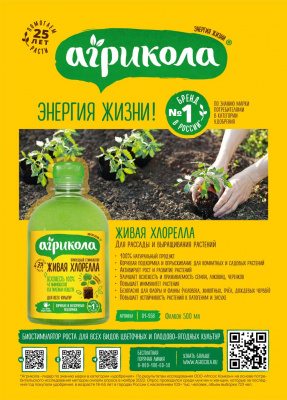 Хлорелла 500 мл (ГБ)
