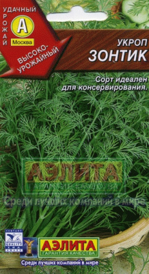Зонтик укроп  (а)